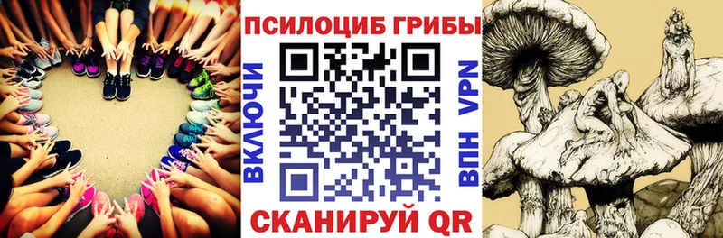 Псилоцибиновые грибы Cubensis  Купить закладки  Инта 